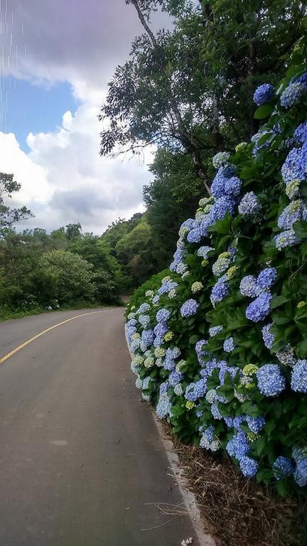 Caminho Das Colinas 그라마도 외부 사진